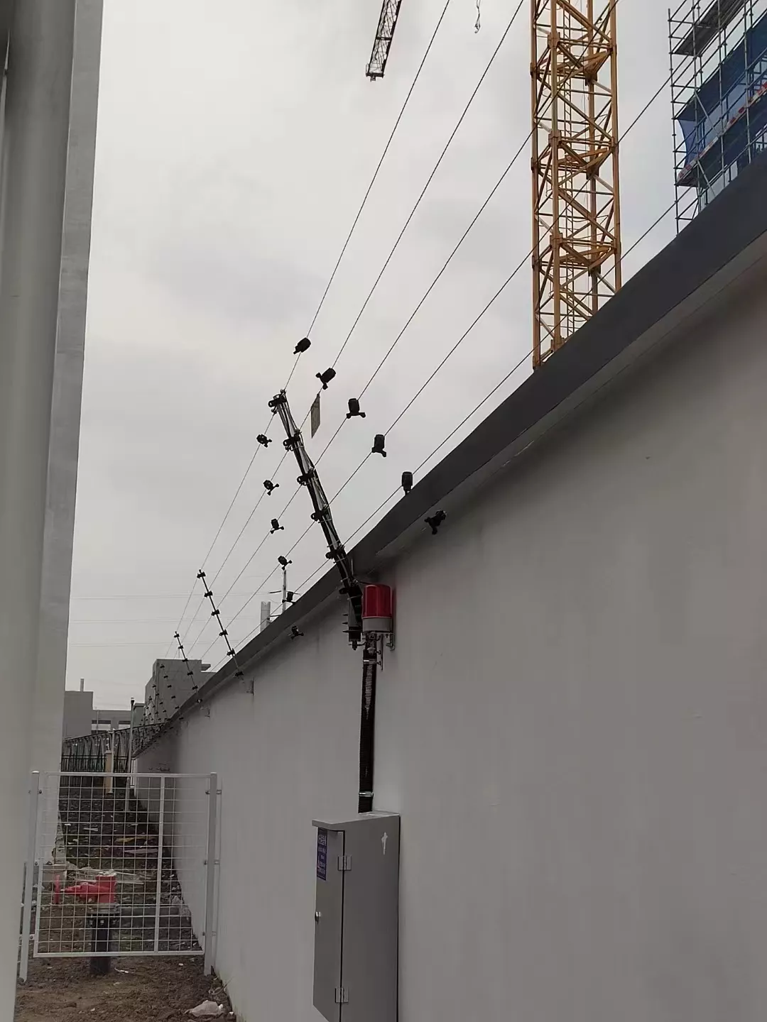 成品